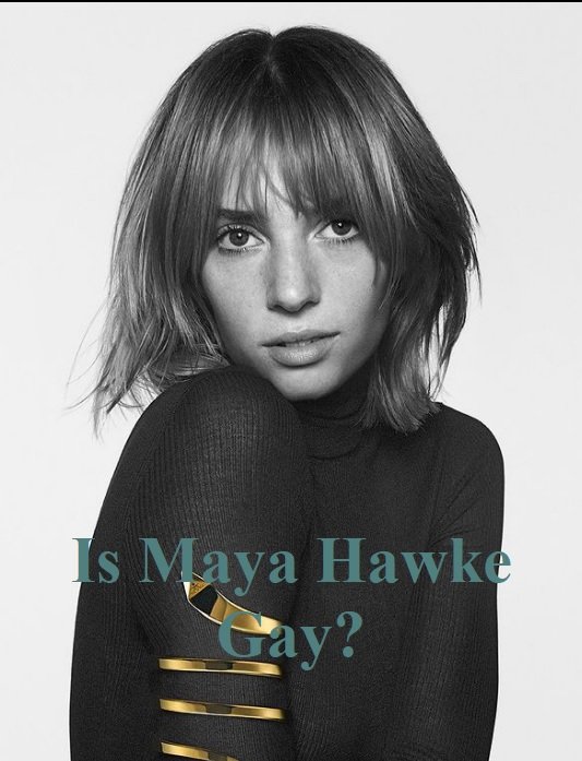 Is Maya Hawke Gay